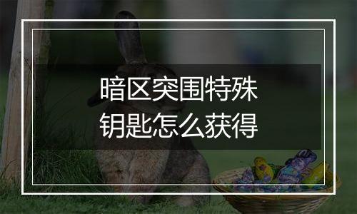 暗区突围特殊钥匙怎么获得