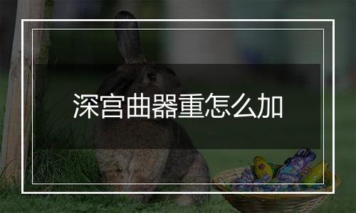 深宫曲器重怎么加