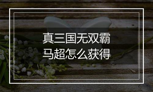 真三国无双霸马超怎么获得