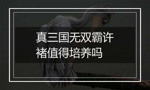 真三国无双霸许褚值得培养吗