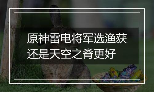 原神雷电将军选渔获还是天空之脊更好