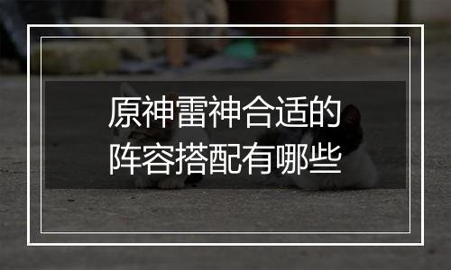 原神雷神合适的阵容搭配有哪些