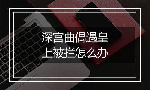 深宫曲偶遇皇上被拦怎么办