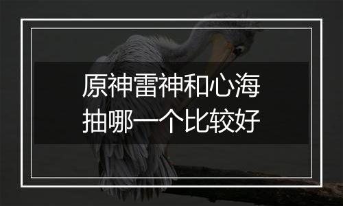 原神雷神和心海抽哪一个比较好