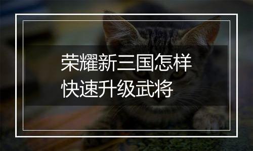 荣耀新三国怎样快速升级武将