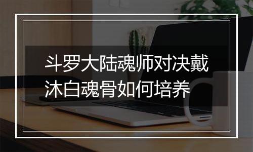 斗罗大陆魂师对决戴沐白魂骨如何培养