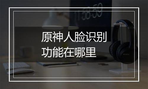 原神人脸识别功能在哪里