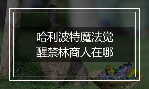 哈利波特魔法觉醒禁林商人在哪