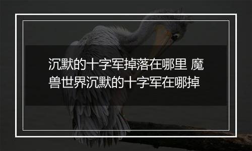 沉默的十字军掉落在哪里 魔兽世界沉默的十字军在哪掉