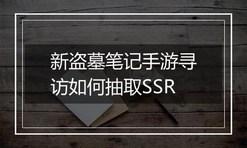 新盗墓笔记手游寻访如何抽取SSR