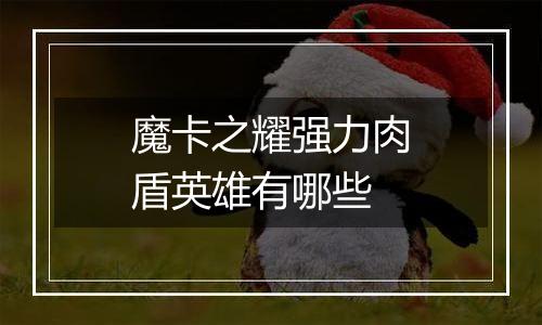 魔卡之耀强力肉盾英雄有哪些