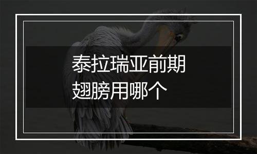 泰拉瑞亚前期翅膀用哪个