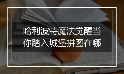 哈利波特魔法觉醒当你踏入城堡拼图在哪