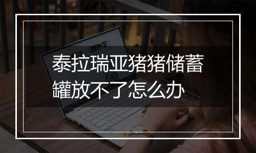 泰拉瑞亚猪猪储蓄罐放不了怎么办