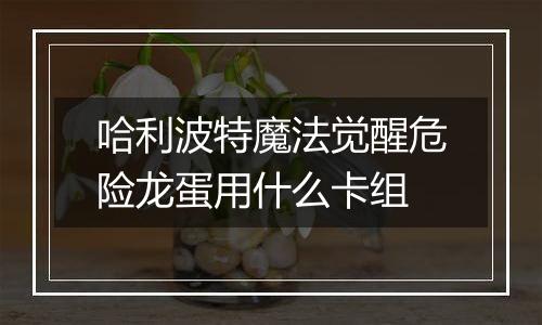 哈利波特魔法觉醒危险龙蛋用什么卡组