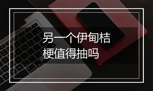 另一个伊甸桔梗值得抽吗