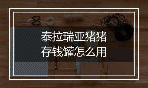 泰拉瑞亚猪猪存钱罐怎么用