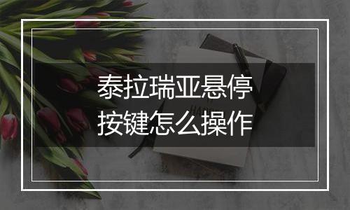 泰拉瑞亚悬停按键怎么操作