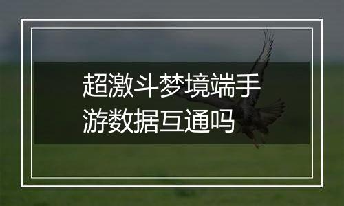 超激斗梦境端手游数据互通吗
