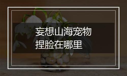 妄想山海宠物捏脸在哪里