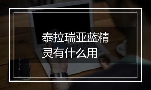 泰拉瑞亚蓝精灵有什么用