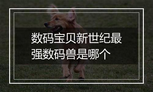 数码宝贝新世纪最强数码兽是哪个