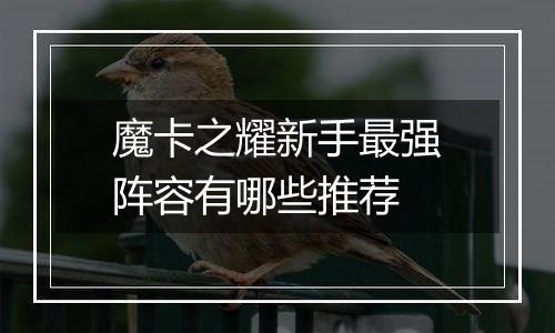魔卡之耀新手最强阵容有哪些推荐