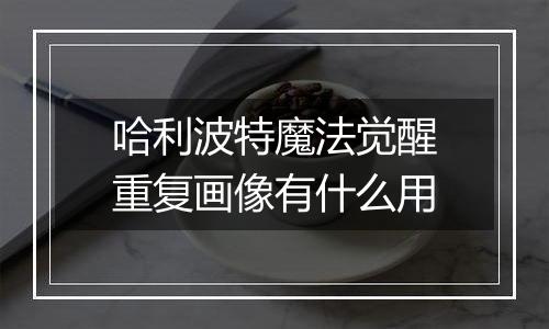 哈利波特魔法觉醒重复画像有什么用