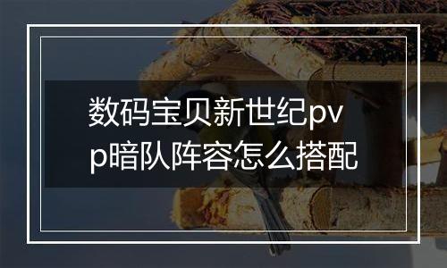 数码宝贝新世纪pvp暗队阵容怎么搭配