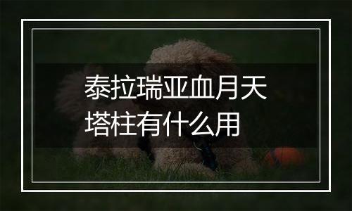 泰拉瑞亚血月天塔柱有什么用