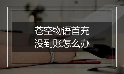 苍空物语首充没到账怎么办