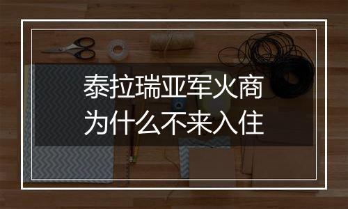 泰拉瑞亚军火商为什么不来入住