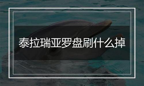 泰拉瑞亚罗盘刷什么掉