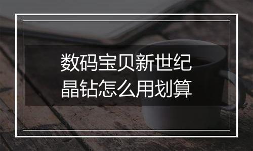 数码宝贝新世纪晶钻怎么用划算