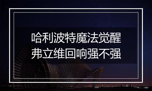 哈利波特魔法觉醒弗立维回响强不强