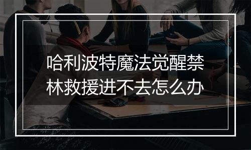 哈利波特魔法觉醒禁林救援进不去怎么办