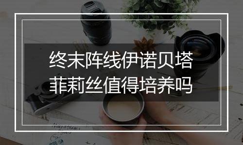 终末阵线伊诺贝塔菲莉丝值得培养吗