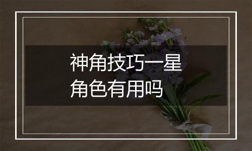 神角技巧一星角色有用吗