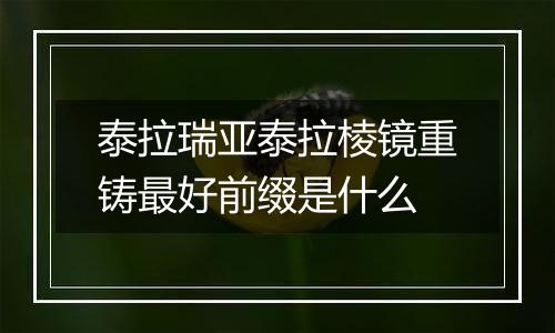 泰拉瑞亚泰拉棱镜重铸最好前缀是什么