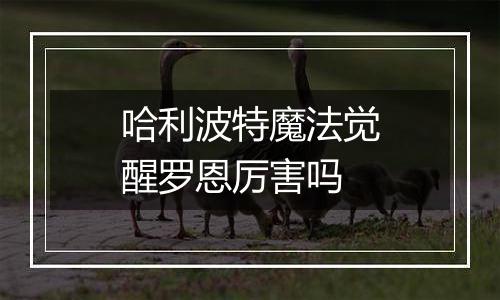 哈利波特魔法觉醒罗恩厉害吗