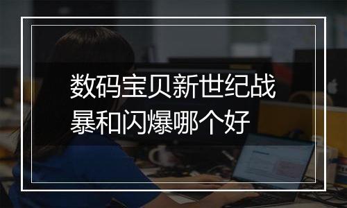 数码宝贝新世纪战暴和闪爆哪个好