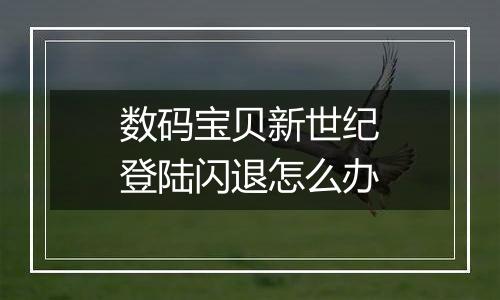 数码宝贝新世纪登陆闪退怎么办