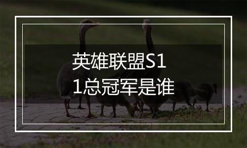 英雄联盟S11总冠军是谁