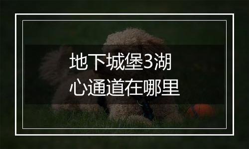 地下城堡3湖心通道在哪里