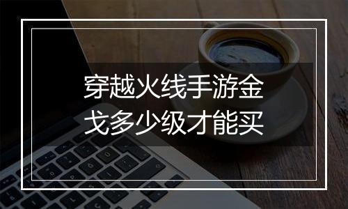 穿越火线手游金戈多少级才能买