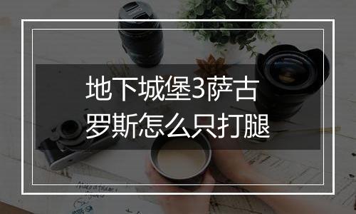 地下城堡3萨古罗斯怎么只打腿