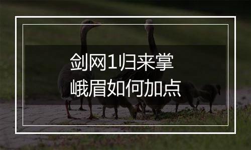 剑网1归来掌峨眉如何加点