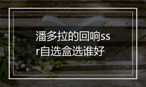 潘多拉的回响ssr自选盒选谁好