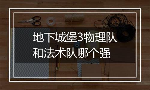 地下城堡3物理队和法术队哪个强