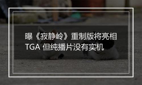 曝《寂静岭》重制版将亮相TGA 但纯播片没有实机